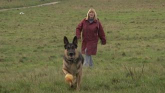 Episode 14 Dogs Decoded