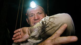 Episode 9 Ecuador Jungle