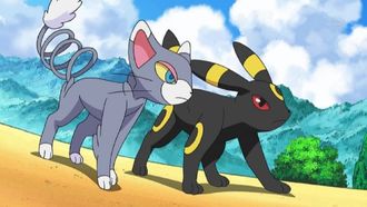 Episode 34 Hikari vs Mama! Parent-Child Showdown!!