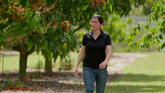 Episode 3 Florida Trees; Smart Lighting