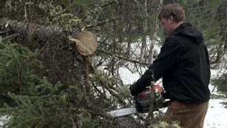 Episode 5 Tragic Spring