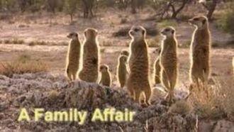 Episode 1 A Family Affair