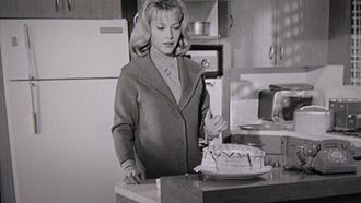 Episode 14 The Special Cake