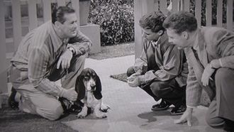 Episode 12 The Bloodhound