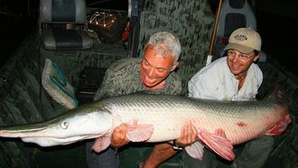Episode 3 Alligator Gar