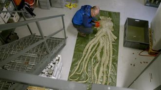 Episode 2 The Kraken Awakens