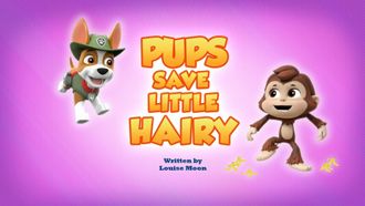 Episode 44 Pups Save Little Hairy