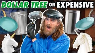 Episode 98 Dollar Store vs. Expensive Product Challenge
