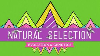 Episode 14 Natural Selection
