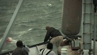 Episode 6 Shark Alley