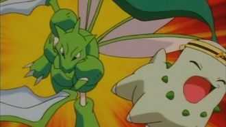 Episode 4 Bug Catching Tournament! Capture a Pokémon at the Natural Park!!