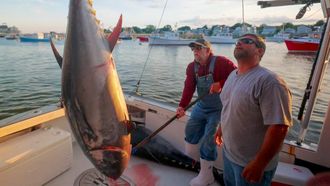 Episode 2 Bluefin Bloodline
