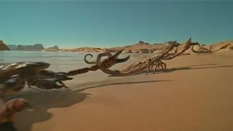 Episode 1 Water Dwellers