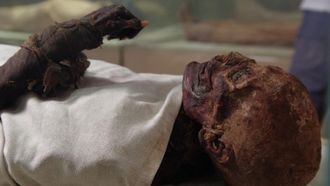 Episode 5 Egypt's Mummies