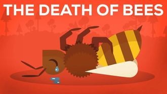 Episode 9 The Death of Bees Explained — Parasites, Poison and Humans