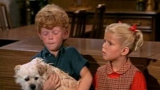 Episode 15 Best of Breed