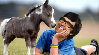 Episode 63 Miniature Horse Sighting
