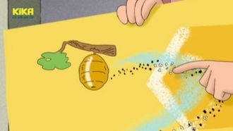 Episode 9 Honey of a Monkey