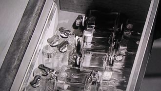 Episode 5 Carnation Perfume