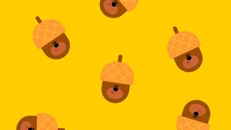 Episode 25 The Acorn Badge