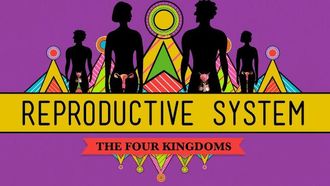 Episode 34 Reproductive System