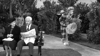 Episode 29 Lucy and the Runaway Butterfly