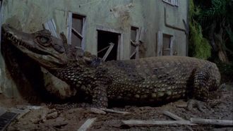 Episode 23 Attack of the Alligators!