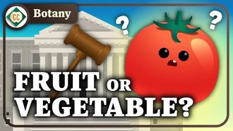 Episode 2 What Are Plants Made Of?
