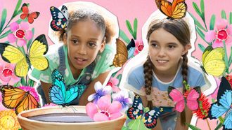 Episode 9 Butterfly Bonanza