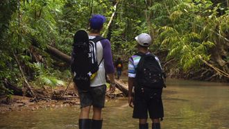 Episode 4 Cassowary