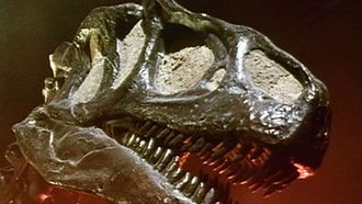 Episode 3 Dinosaur