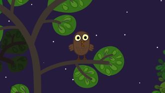 Episode 42 The Owl