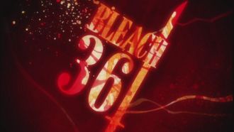 Episode 361 A New Appearance! The Gotei 13, Arrives!