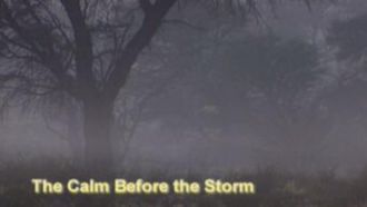 Episode 12 The Calm Before the Storm