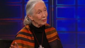 Episode 88 Jane Goodall