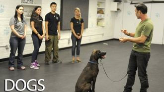 Episode 6 You Can Teach Old Dogs New Tricks