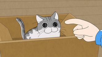 Episode 1 The day a cat came to my house