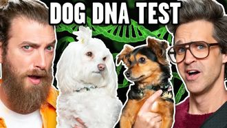 Episode 4 Link Is Shocked By Dog DNA Results