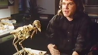 Episode 2 Dinosaurs of the Gobi