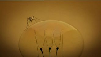 Episode 63 The Mosquito