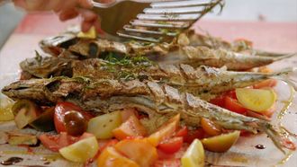 Episode 27 Sizzling Beef Steak and Mighty Mackerel