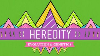 Episode 9 Heredity