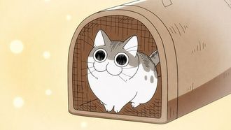 Episode 1 Night 1: The Day a Cat Came to my House