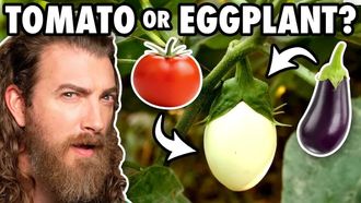 Episode 50 Can We Guess What Food Is Growing?
