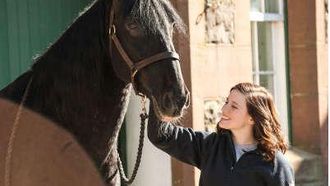 Episode 6 Wild Horses