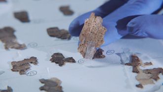 Episode 20 Dead Sea Scroll Detectives