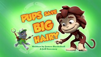 Episode 22 Sea Patrol: Pups Save a Frozen Flounder/Sea Patrol: Pups Save a Narwhal