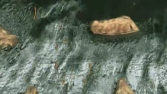 Episode 2 Noah's Great Flood