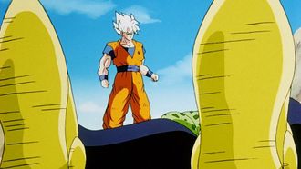 Episode 15 The Fight is Over