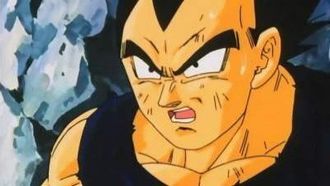 Episode 27 Vegeta's Respect